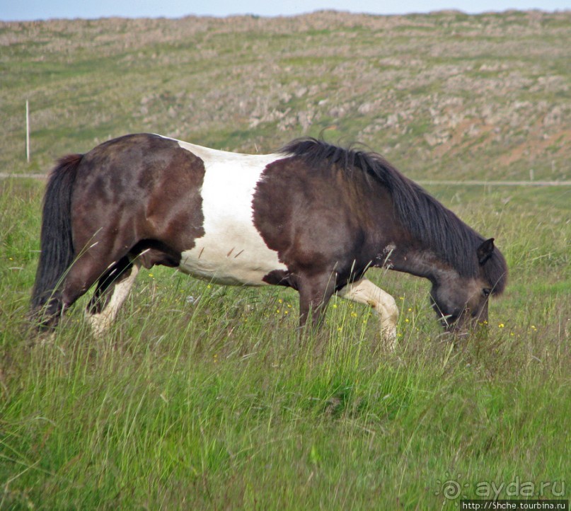 Grundarfjordur - маленький городок "Маленькой Исландии"
