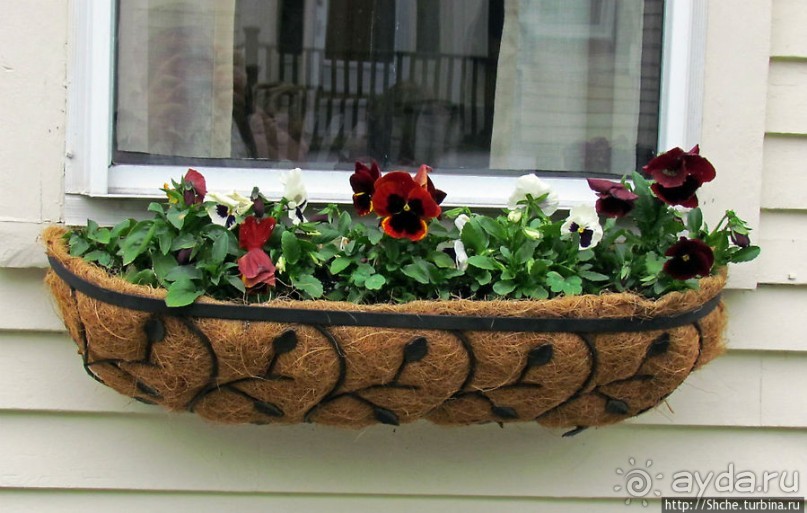 Неординарный атлантический курорт США — Провистаун