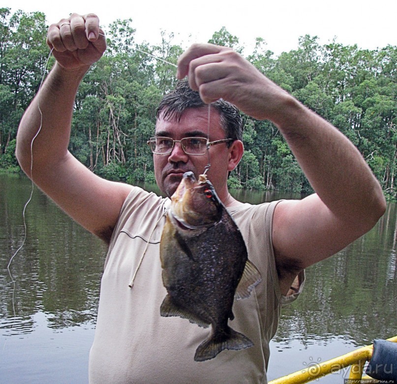Рыбалка на пиранью