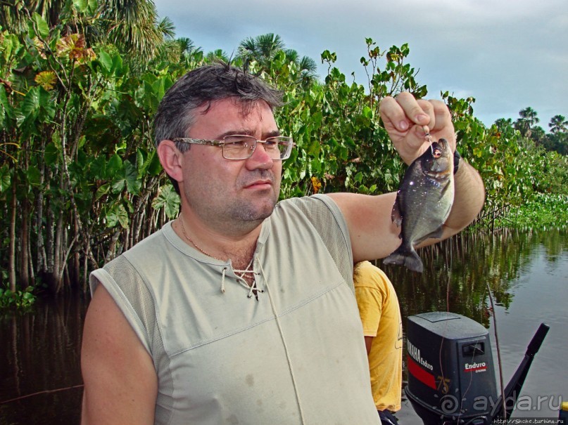 Рыбалка на пиранью