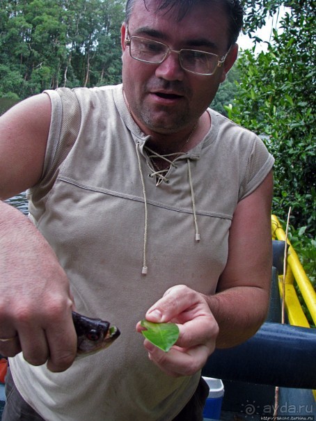 Рыбалка на пиранью