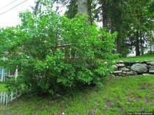 Городок West Stockbridge, случайное знакомство