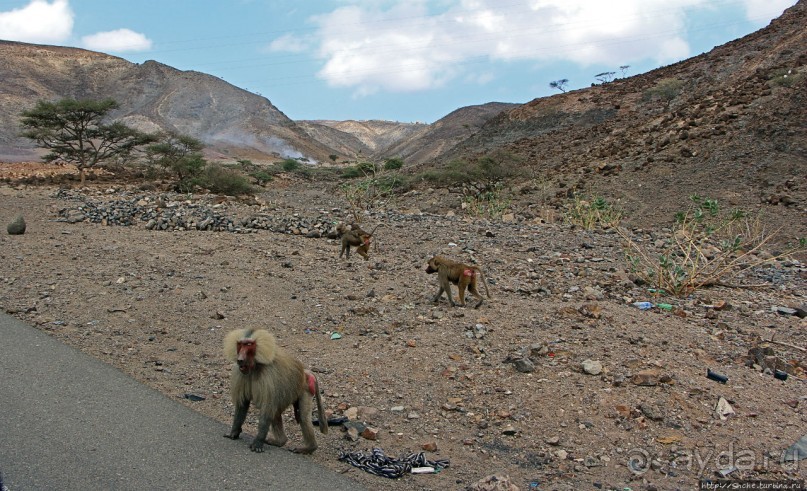Джибутийские глубинки. Weya Oueah, или просто Вейя-Уэа