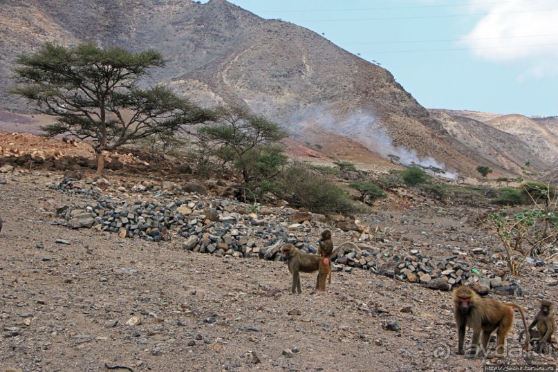 Джибутийские глубинки. Weya Oueah, или просто Вейя-Уэа