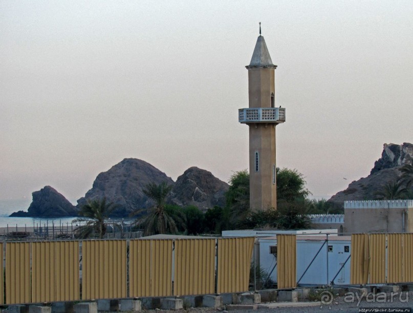 Al Aqqa — просто обречена на процветание