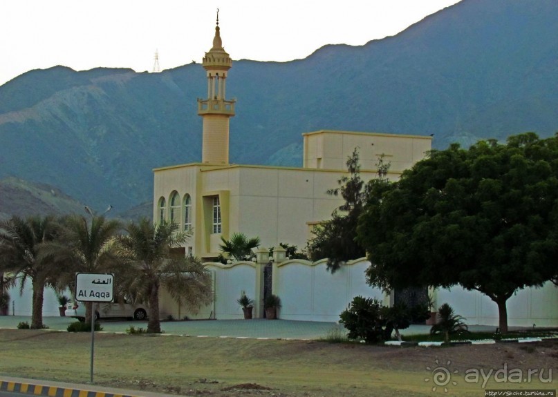 Al Aqqa — просто обречена на процветание