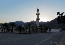 Al Aqqa — просто обречена на процветание