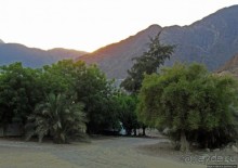 Al Aqqa — просто обречена на процветание