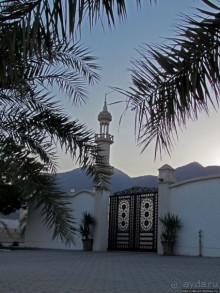 Al Aqqa — просто обречена на процветание