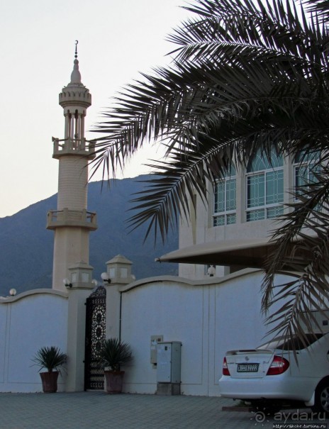 Al Aqqa — просто обречена на процветание