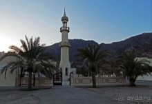 Al Aqqa — просто обречена на процветание