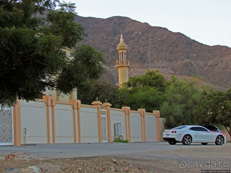 Al Aqqa — просто обречена на процветание