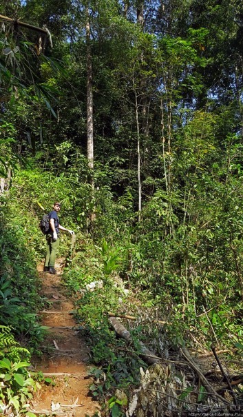 Страна Гиббония — национальный парк Нам-Кан в Лаосе