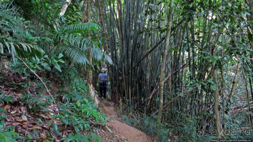 Страна Гиббония — национальный парк Нам-Кан в Лаосе
