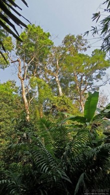 Страна Гиббония — национальный парк Нам-Кан в Лаосе