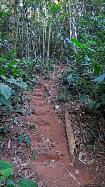 Страна Гиббония — национальный парк Нам-Кан в Лаосе