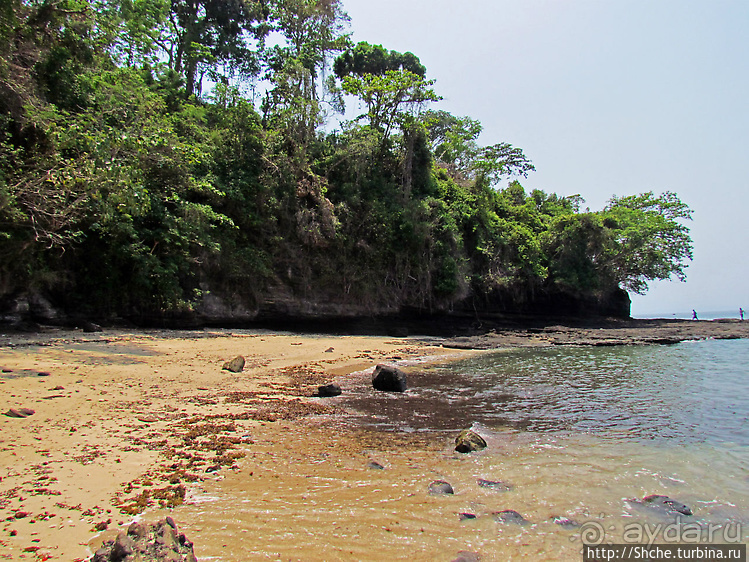 "Девки в озере купались..."