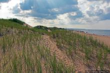 Кавендиш — морской курорт и песчаные дюны