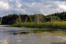 Кавендиш — морской курорт и песчаные дюны