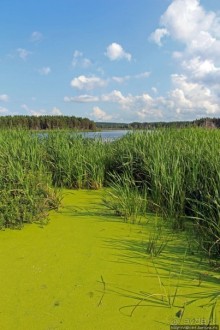 Кавендиш — морской курорт и песчаные дюны