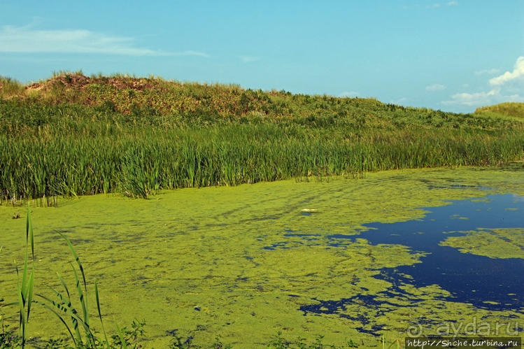 Кавендиш — морской курорт и песчаные дюны