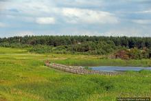 Кавендиш — морской курорт и песчаные дюны