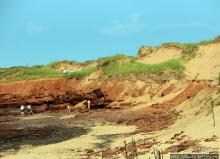 Кавендиш — морской курорт и песчаные дюны