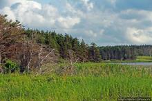 Кавендиш — морской курорт и песчаные дюны