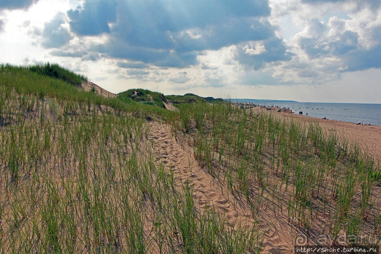Кавендиш — морской курорт и песчаные дюны Кавендиш — морской курорт и песчаные дюны