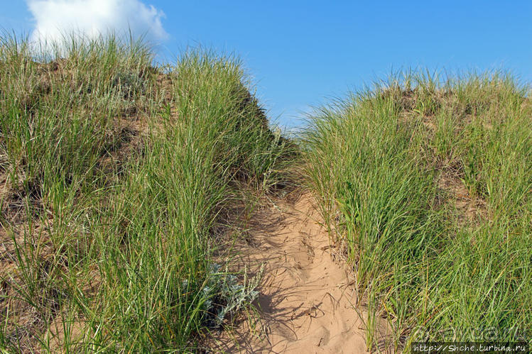 Кавендиш — морской курорт и песчаные дюны Кавендиш — морской курорт и песчаные дюны
