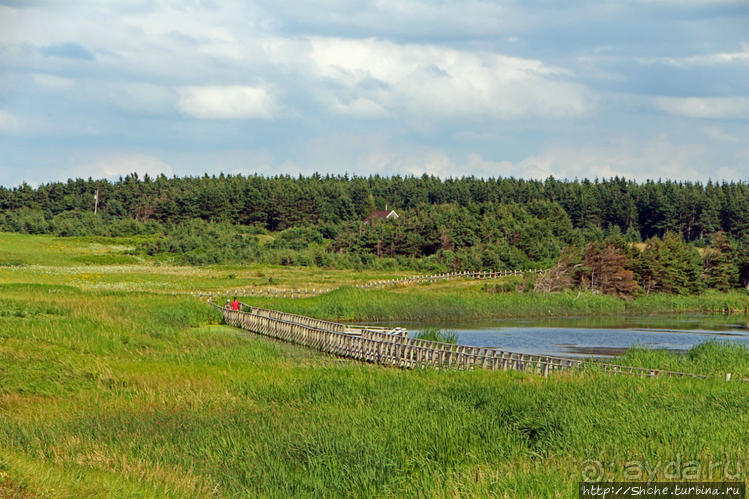 Кавендиш — морской курорт и песчаные дюны Кавендиш — морской курорт и песчаные дюны