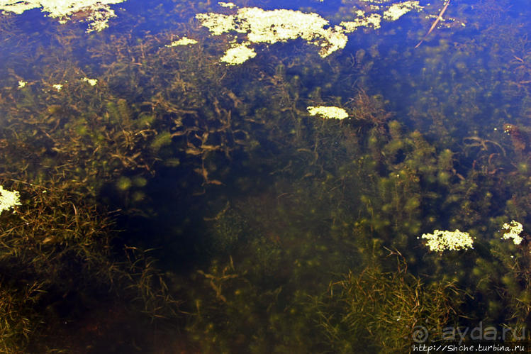 Кавендиш — морской курорт и песчаные дюны Кавендиш — морской курорт и песчаные дюны