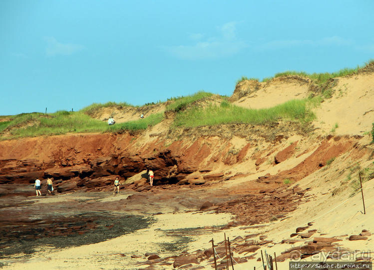Кавендиш — морской курорт и песчаные дюны Кавендиш — морской курорт и песчаные дюны