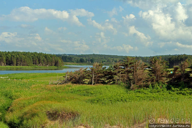 Кавендиш — морской курорт и песчаные дюны Кавендиш — морской курорт и песчаные дюны