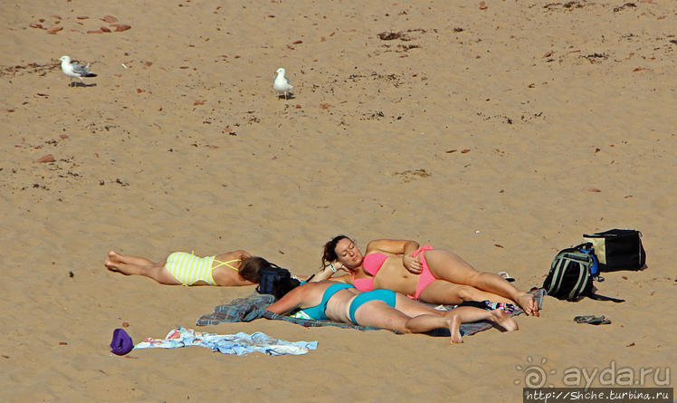 Кавендиш — морской курорт и песчаные дюны Кавендиш — морской курорт и песчаные дюны