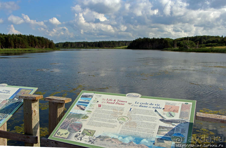 Кавендиш — морской курорт и песчаные дюны Кавендиш — морской курорт и песчаные дюны