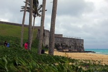 Пушкам ... незачем палить