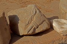 Французский замок Шуш — пример донаучной эры археологии