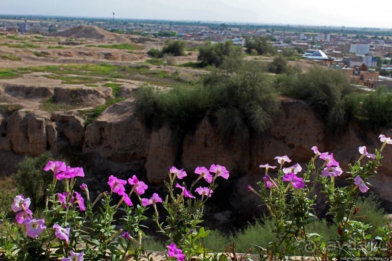 Французский замок Шуш — пример донаучной эры археологии
