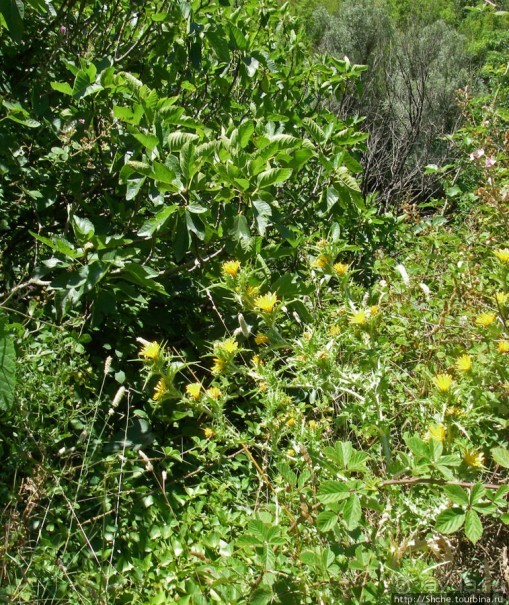 Рафтинг на реке Цетина - 100% гарантия хорошего настроения