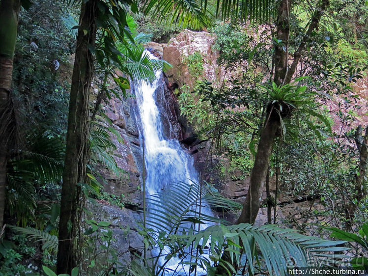 Водопад Ла Мина — хоть искупаться, хоть поглазеть