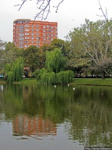 "А белый лебедь на пруду...",- лебединое озеро на ВДНХ