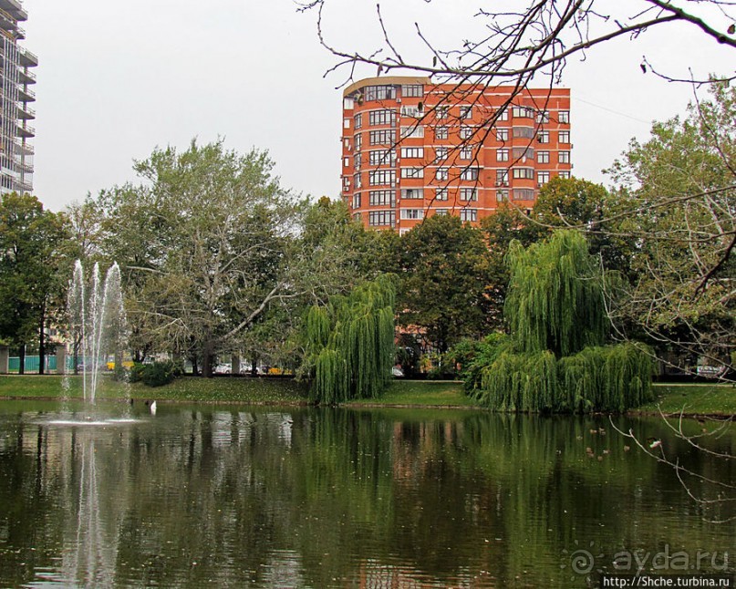 "А белый лебедь на пруду...",- лебединое озеро на ВДНХ