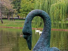 "А белый лебедь на пруду...",- лебединое озеро на ВДНХ