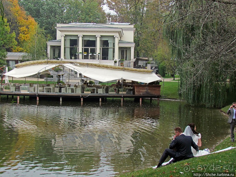 "А белый лебедь на пруду...",- лебединое озеро на ВДНХ