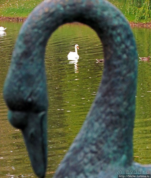 "А белый лебедь на пруду...",- лебединое озеро на ВДНХ