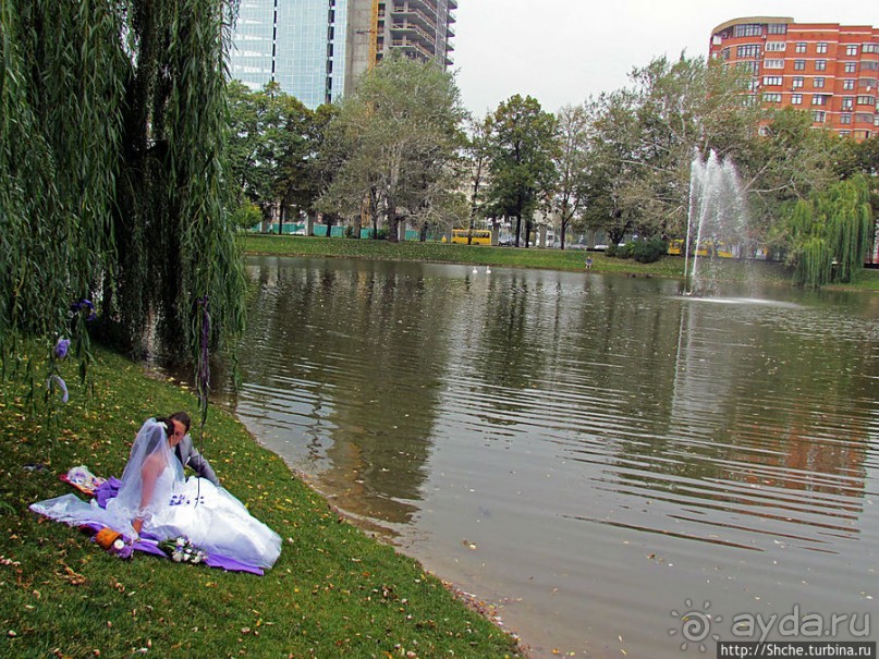 "А белый лебедь на пруду...",- лебединое озеро на ВДНХ