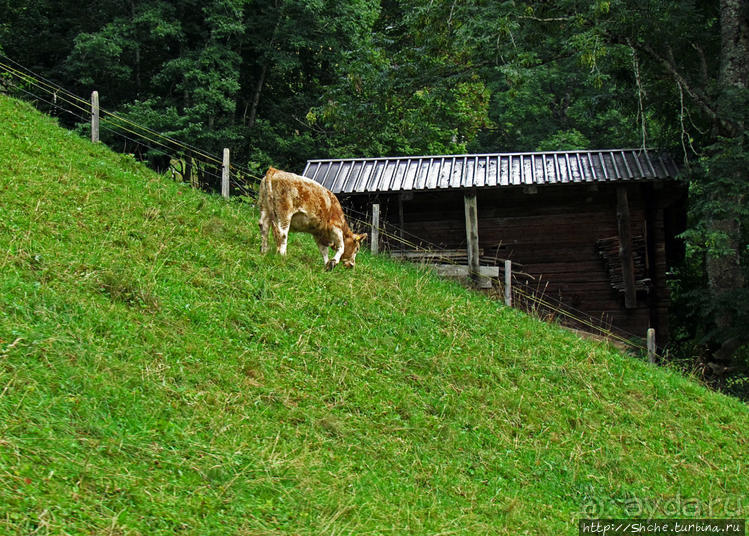 "Чистый фонтан" Лаутербрюннен — город в долине водопадов