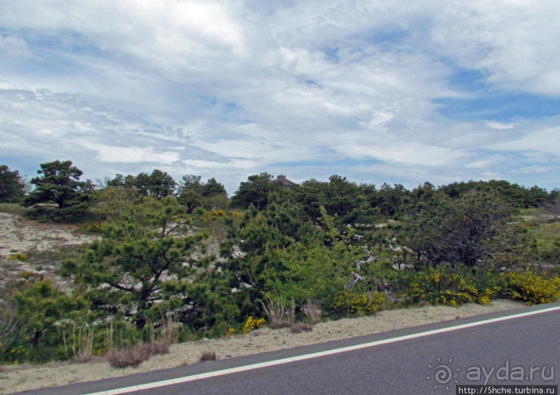 Долгая дорога к дюнам