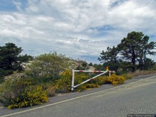 Долгая дорога к дюнам